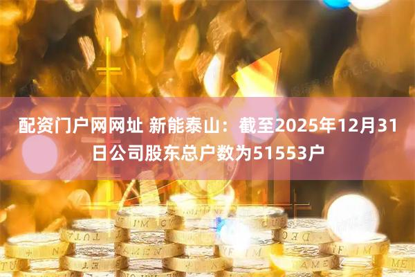 配资门户网网址 新能泰山：截至2025年12月31日公司股东总户数为51553户