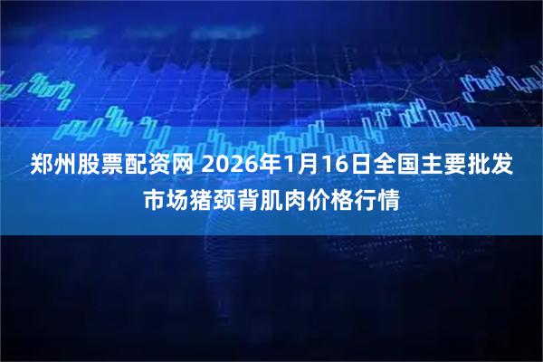 郑州股票配资网 2026年1月16日全国主要批发市场猪颈背肌肉价格行情