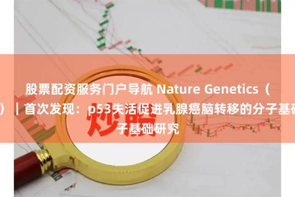 股票配资服务门户导航 Nature Genetics（IF:29）｜首次发现：p53失活促进乳腺癌脑转移的分子基础研究