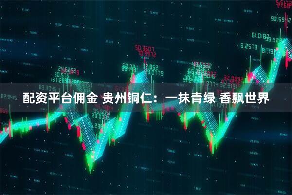 配资平台佣金 贵州铜仁：一抹青绿 香飘世界